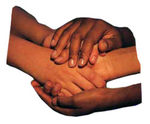 Solidarite